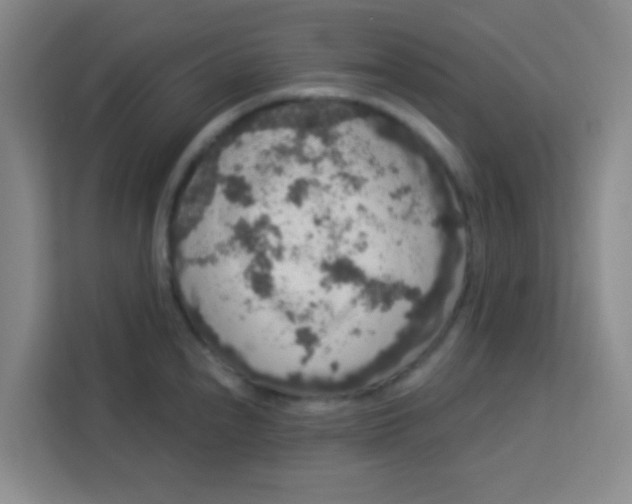 X0000113281240200910051034