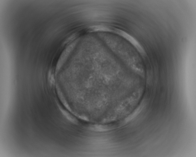 X0000113281241200910051034