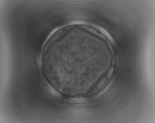 X0000113281244200910051034