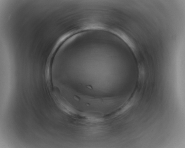 X0000113281246200910051034