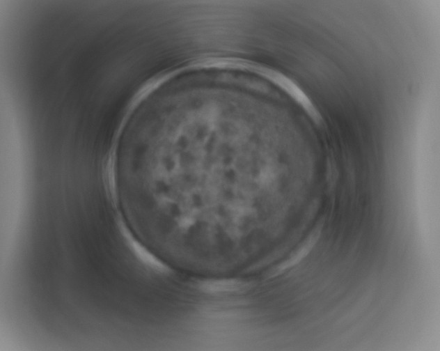 X0000113281247200910051034