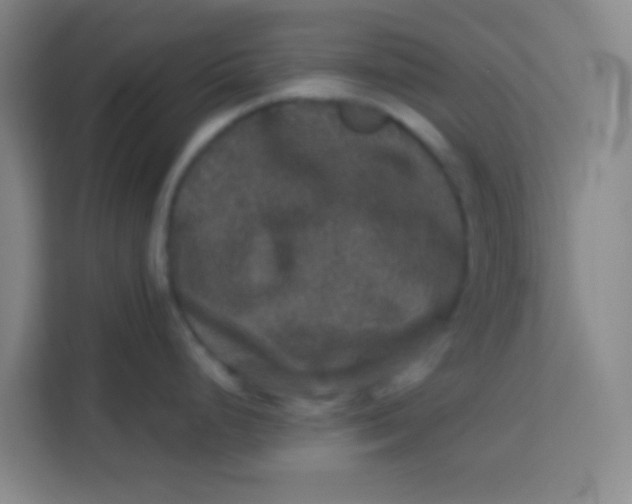 X0000113281248200910051034