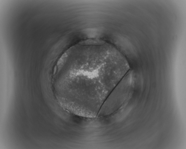 X0000113281249200910051033