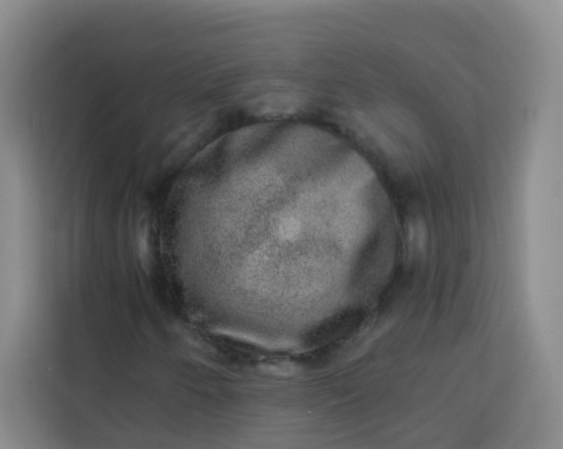 X0000113281250200910051033