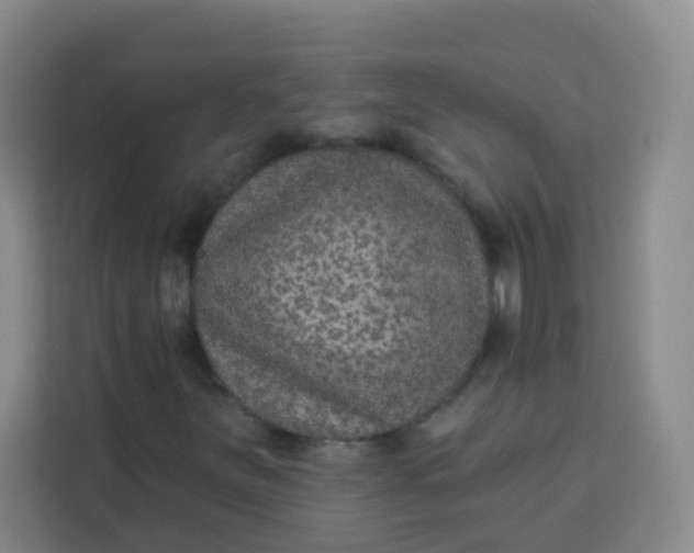 X0000113281251200910051033