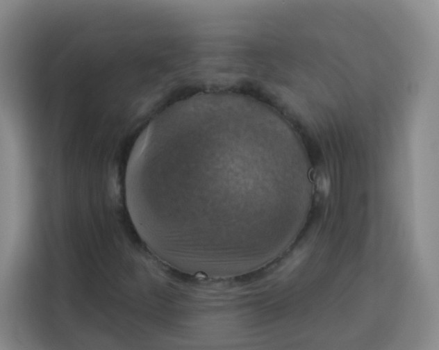 X0000113281252200910051033