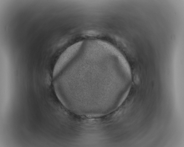 X0000113281253200910051033