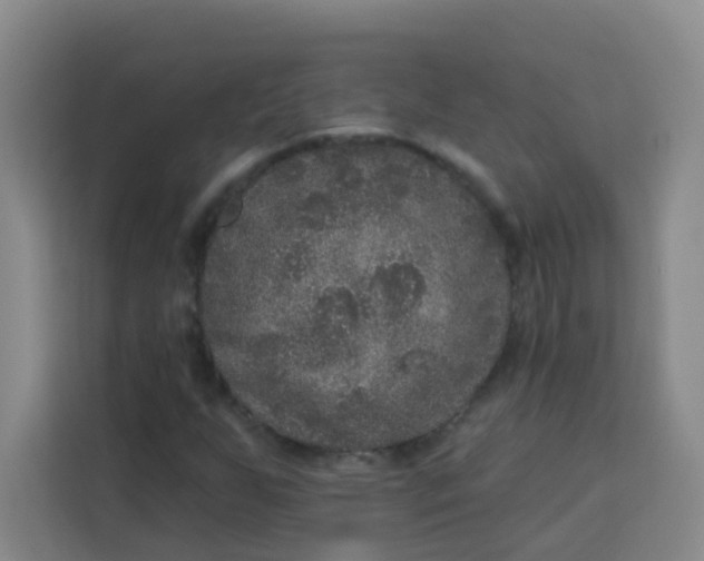 X0000113281255200910051033