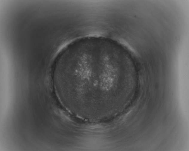 X0000113281256200910051033