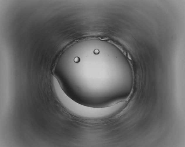 X0000113281257200910051033