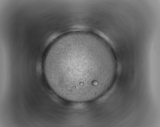 X0000113281259200910051033