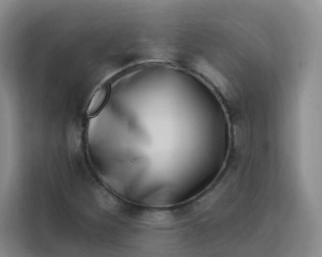 X0000113281260200910051033