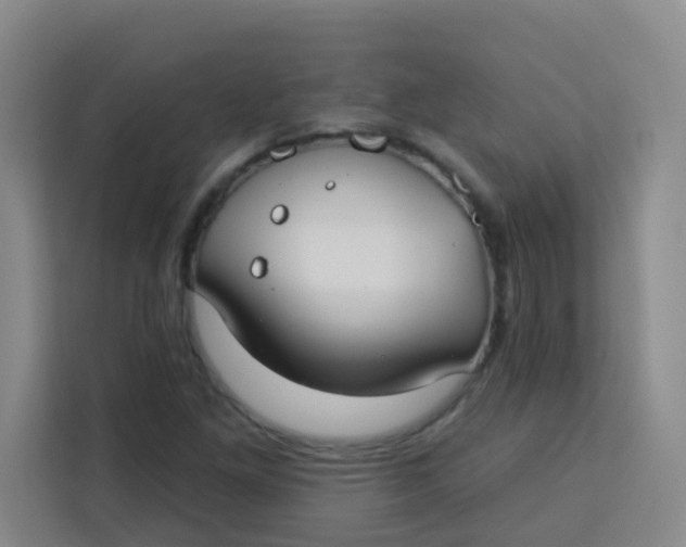 X0000113281261200910051033