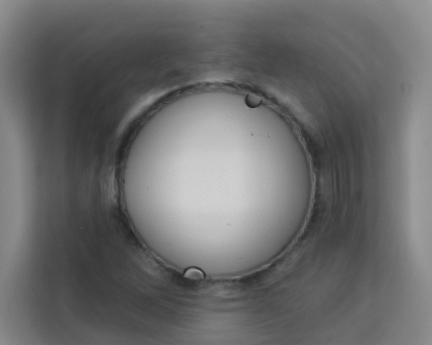 X0000113281262200910051033