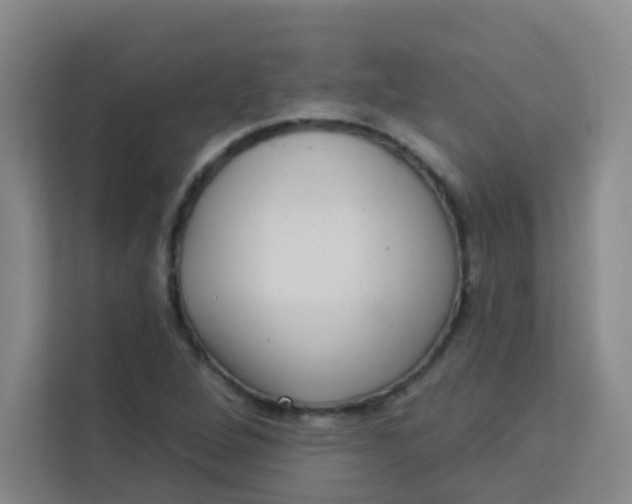 X0000113281264200910051033