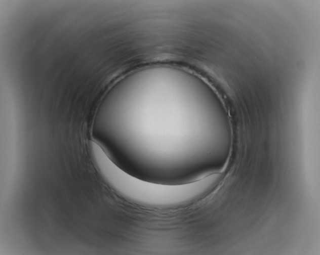 X0000113281265200910051033