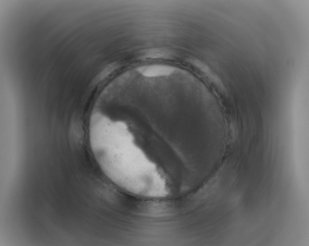 X0000113281266200910051033