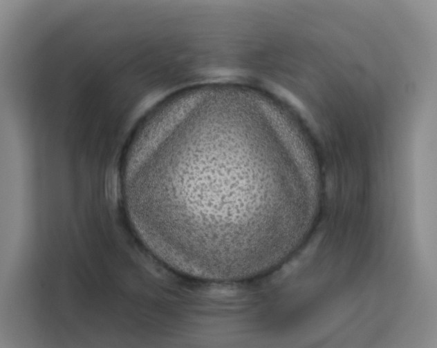 X0000113281267200910051033