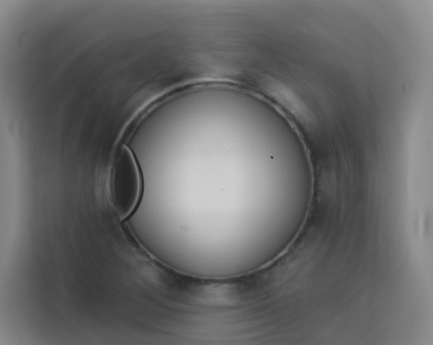 X0000113281268200910051033