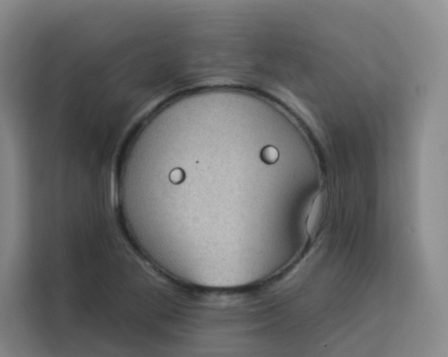 X0000113281269200910051033