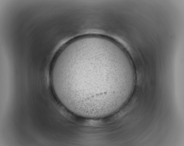 X0000113281271200910051033