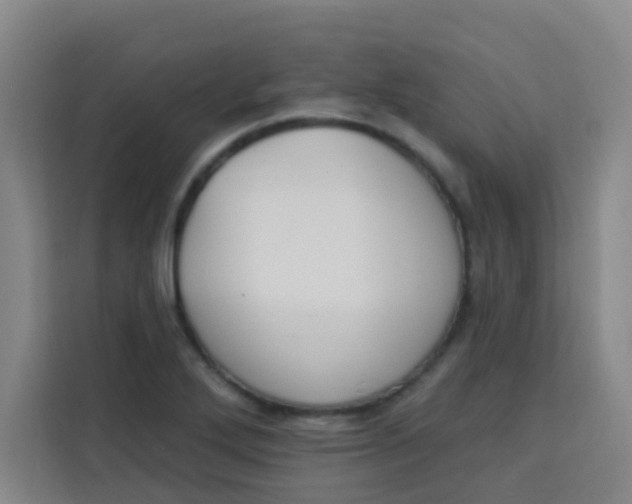 X0000113281272200910051033