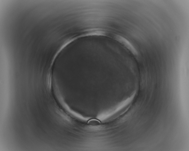 X0000113281276200910051033