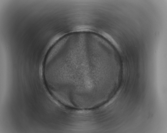 X0000113281277200910051033