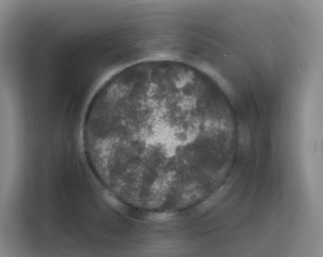 X0000113281278200910051033