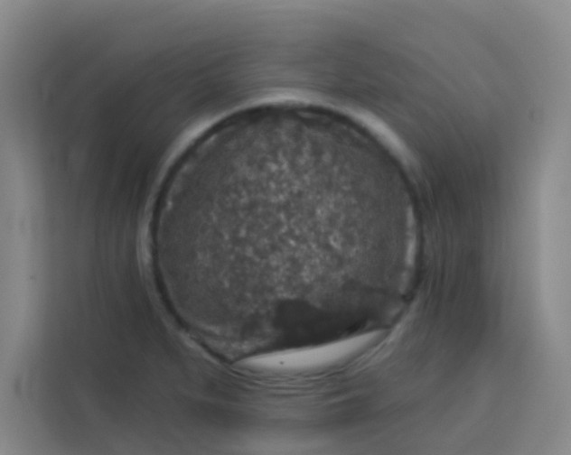 X0000113281279200910051033