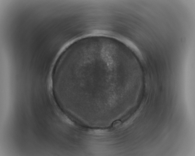 X0000113281280200910051033