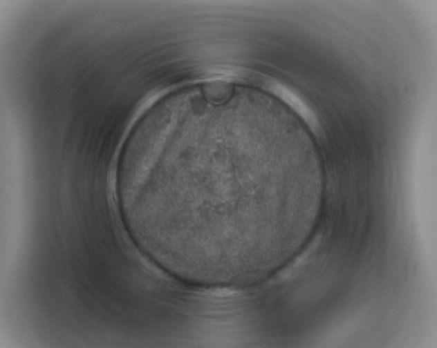 X0000113281283200910051033