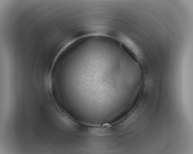 X0000113281284200910051033