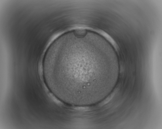 X0000113281287200910051033