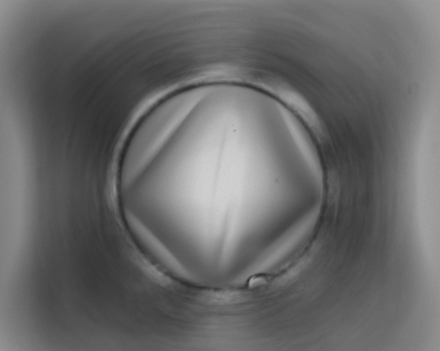 X0000113281288200910051033