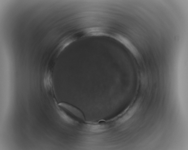 X0000113281289200910051033