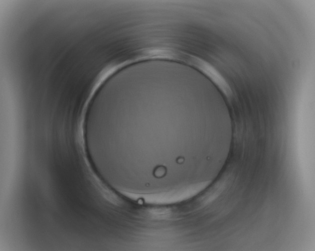 X0000113281291200910051033