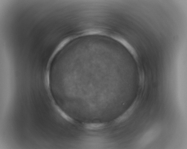 X0000113281294200910051033