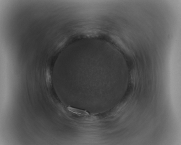 X0000113281298200910051032