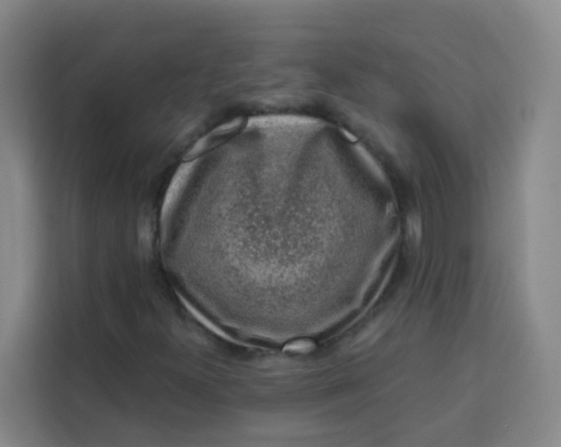 X0000113281300200910051032