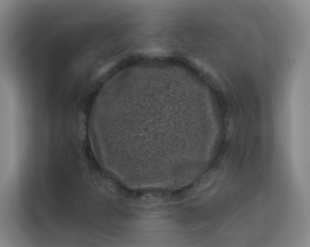 X0000113281301200910051032