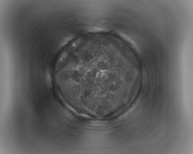 X0000113281305200910051032