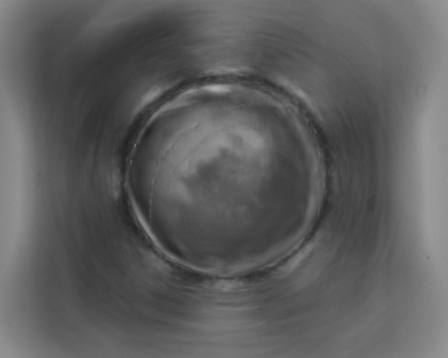 X0000113281306200910051032