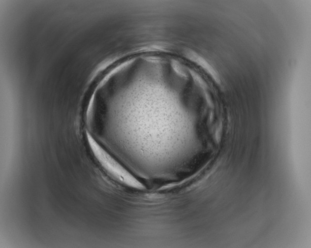 X0000113281308200910051032