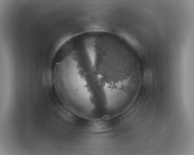 X0000113281310200910051032