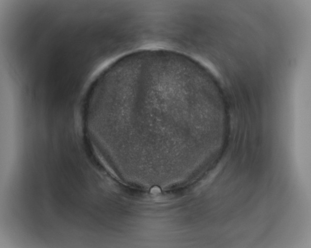 X0000113281311200910051032