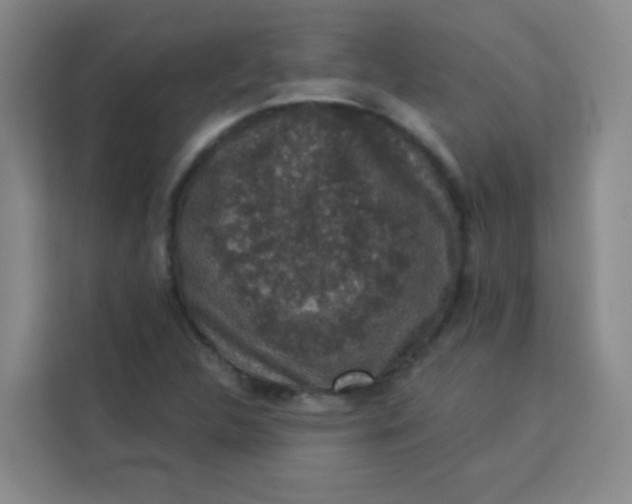 X0000113281312200910051032