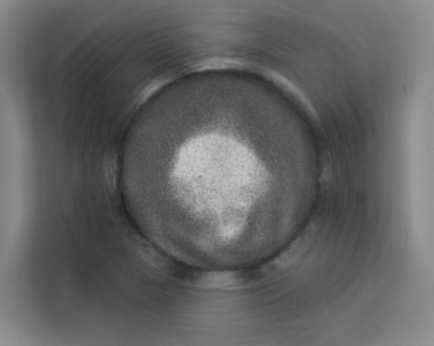 X0000113281313200910051032