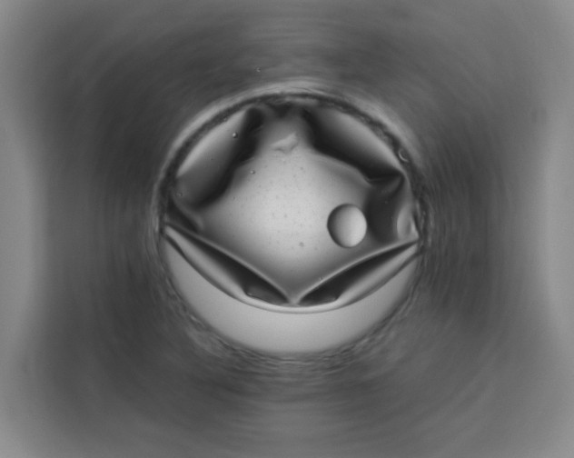 X0000113281316200910051032