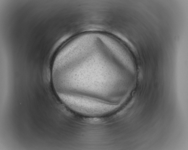 X0000113281317200910051032